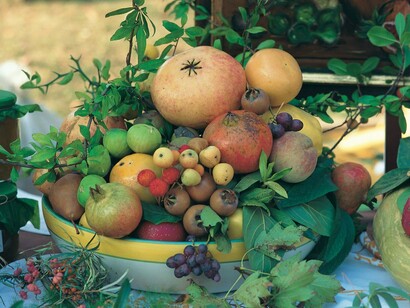 I frutti dimenticati di  Casola Valsenio