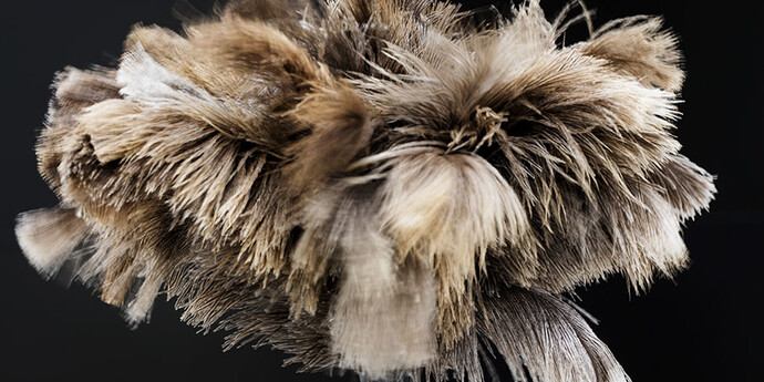 William Forsythe, Towards the Diagnostic Gaze, (Paris) (detail), 2017, Readymade feather duster, engraved stone shelf from stone locally sourced for exhibition, 2 × 31 1/2 × 17 11/16 inches (5 × 80 × 45 cm) © William Forsythe