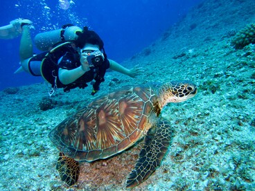 A brown tortoise glides through the water beside a snorkeler, one of the unforgettable encounters Cyprus offers to scuba and snorkeling enthusiasts