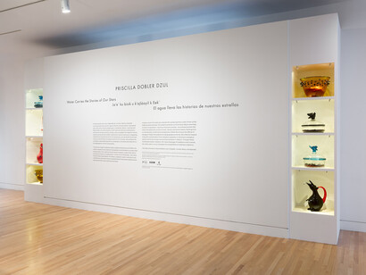 Priscilla Dobler Dzul, Water carries the stories of our stars, exhibition view. Courtesy of Frye Art Museum