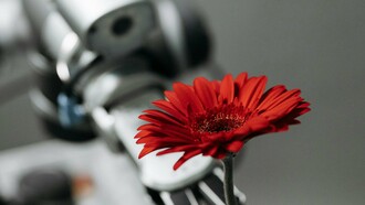 Máquina oferece uma flor. No tempo presente, a sofisticação e o avanço da inteligência artificial, replica com um grande esmero, as funções cognitivas humanas