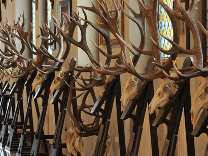 Hunting exhibition. Courtesy of Museum and Library of Hungarian Agriculture