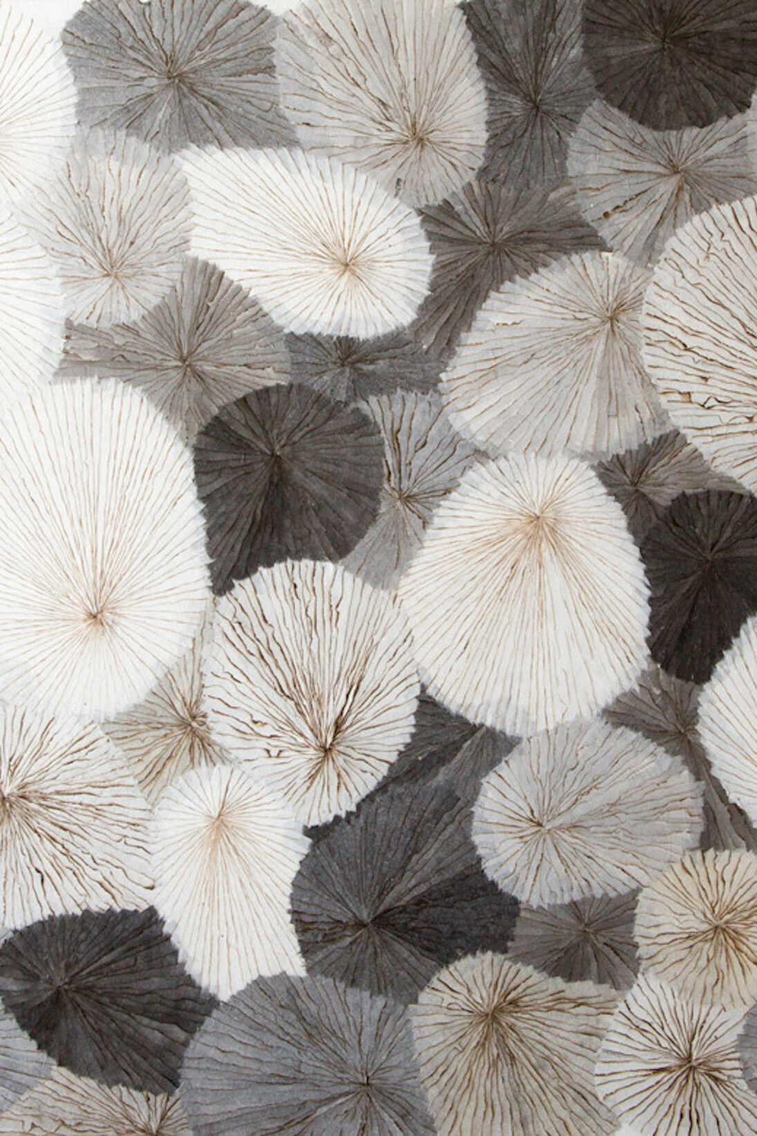 Phasing, Minjung Kim. Courtesy of Patrick Heide Contemporary