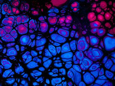 Au cœur des cellules, l’information génétique ne reste pas figée : elle circule, se copie et s’exprime en permanence