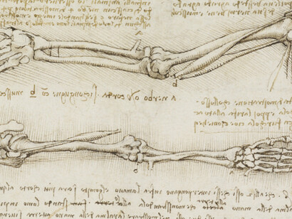 Leonardo, anatomia