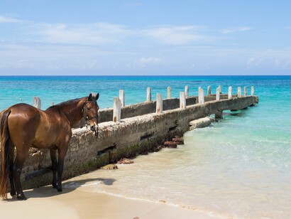 Horse riding on the beach, a favourite past time for many visitors to Jamaica