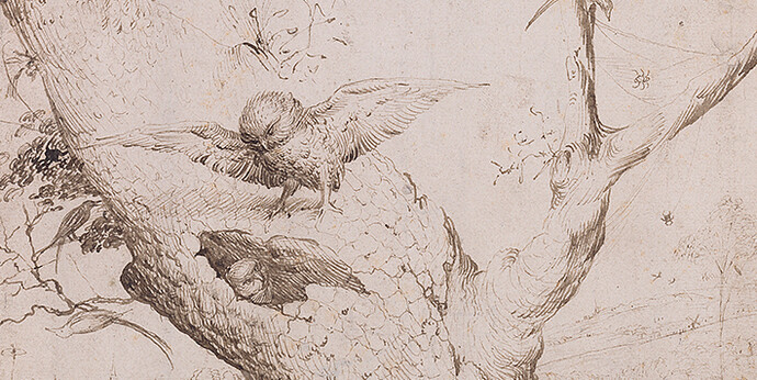 Hieronymus Bosch, The Owl’s Nest, c. 1505–1515, pen and brown ink, Museum Boijmans Van Beuningen, Rotterdam (former Koenigs Collection)