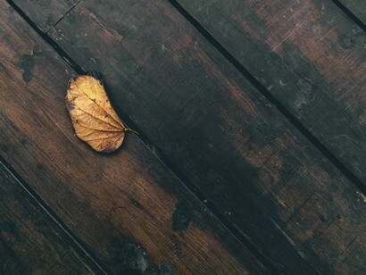 Legno, passaggio dallo Yin allo Yang