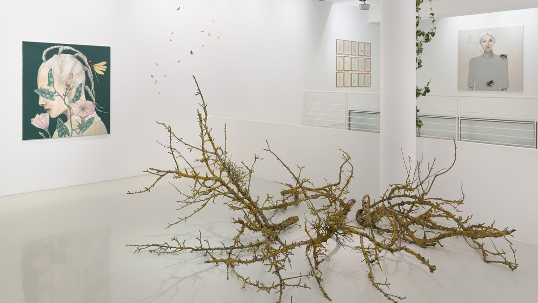 Sandra Ackermann, Anthropozoikum, exhibition view. Courtesy of Gallery Voss