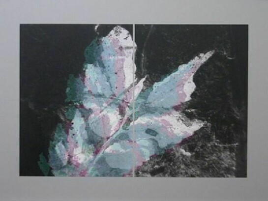 Ian Pedigo, Your Dreams in Sediment, 2014, Archival inkjet print on canvas mounted on primed board, 32 x 44 inches