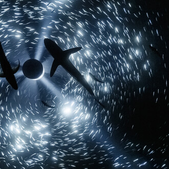 Julian Charrière, Midnight zone, 2024. Courtesy of Sainsbury Centre