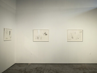 Maria Lynch. Courtesy of Wilding Cran Gallery