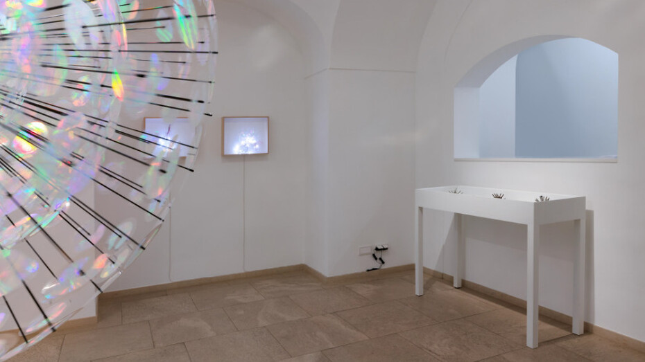 Jiyen Lee, Stain-rainbow forest, exhibition view. Courtesy of Galerie nächst St. Stephan
