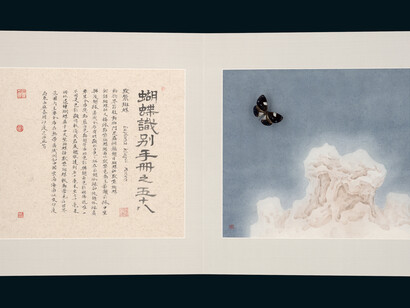 Hang Chunhui, Identification Manual of Butterflies 58, detail, 2015, ink and color on paper, butterfly specimens, 14.6 x 32.3 inches/37 x 82 cm
Photo courtesy of Sundaram Tagore Gallery
