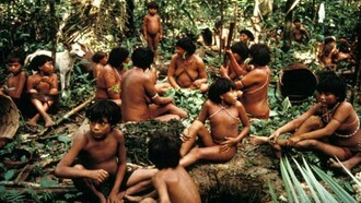 A group of Yanomami, in the jungle