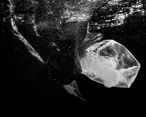 Project economART. Courtesy of Amy-d Arte Spazio