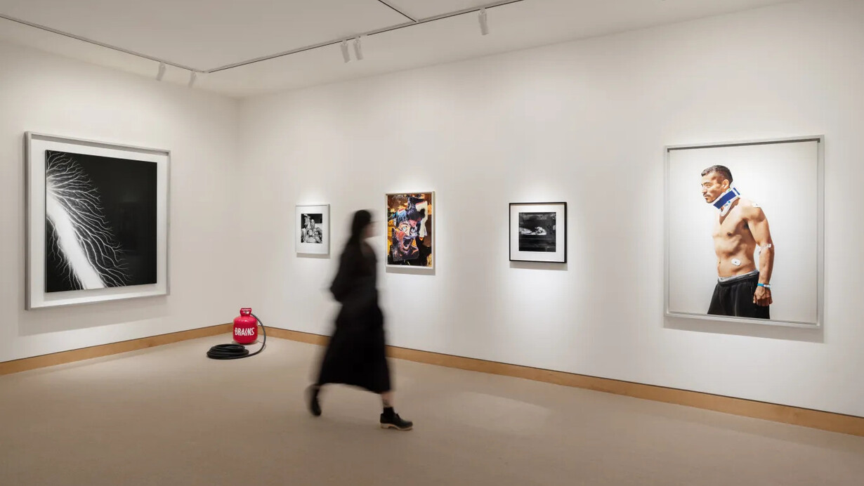 Various artists, Fraenkenstein, exhibition view. Courtesy of Fraenkel Gallery