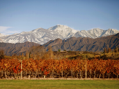 Entre Cielos, Argentina, viñedo y Cordillera de los Andes. Crédito Walter Raymond