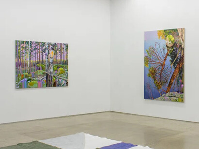 Cecilia Danell, The upside down world, exhibition view. Courtesy of Kevin Kavanagh