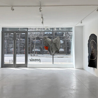 various artists, Walking lines, exhibition view. Courtesy of Praxis Gallery