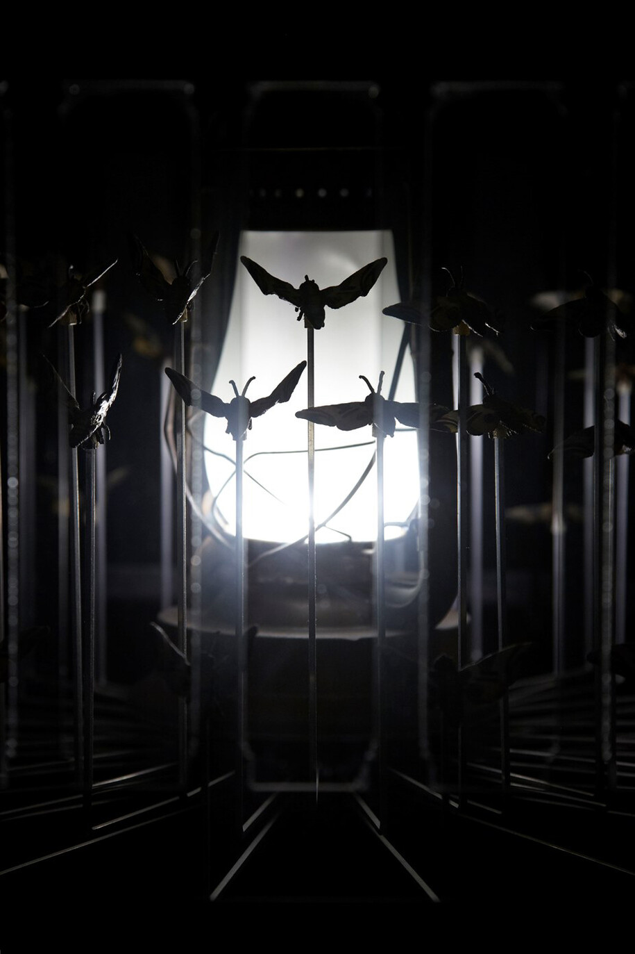 Detail from: Matt Collishaw, Magic Lantern Small, 2010. Steel frame, glass, two-way mirror, aluminium, LED lights and motor. 200 x 120 x 120 cm