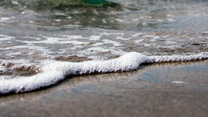 Foaming seawaves invite wandering minds