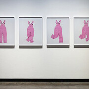 Annette Kelm. Courtesy of Kunsthalle Wien