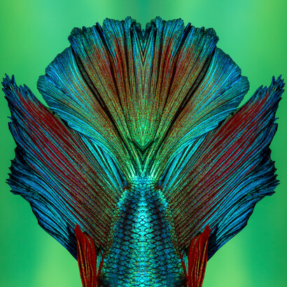 Brunella Costa, Immersion 1, part of a triptych