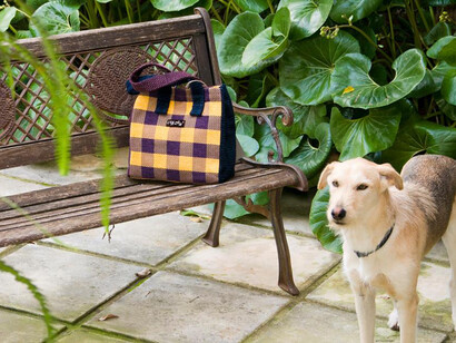 Una creazione e un amico di Maruzza Battaglia