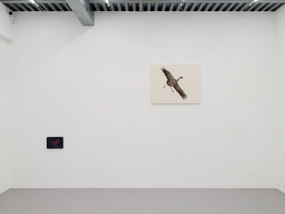 Marta Roberti, Due mondi, e io vengo dall'altro, vista della mostra. Per gentile concessione di z2o Sara Zanin