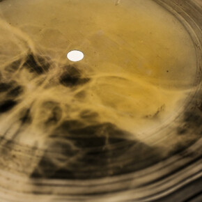 Bone Music. Courtesy of Garage Museum of Contemporary Art