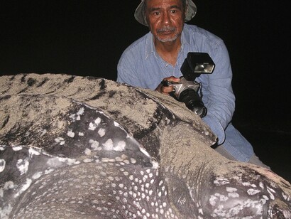 Una tortuga marina acompaña a Luis y su cámara