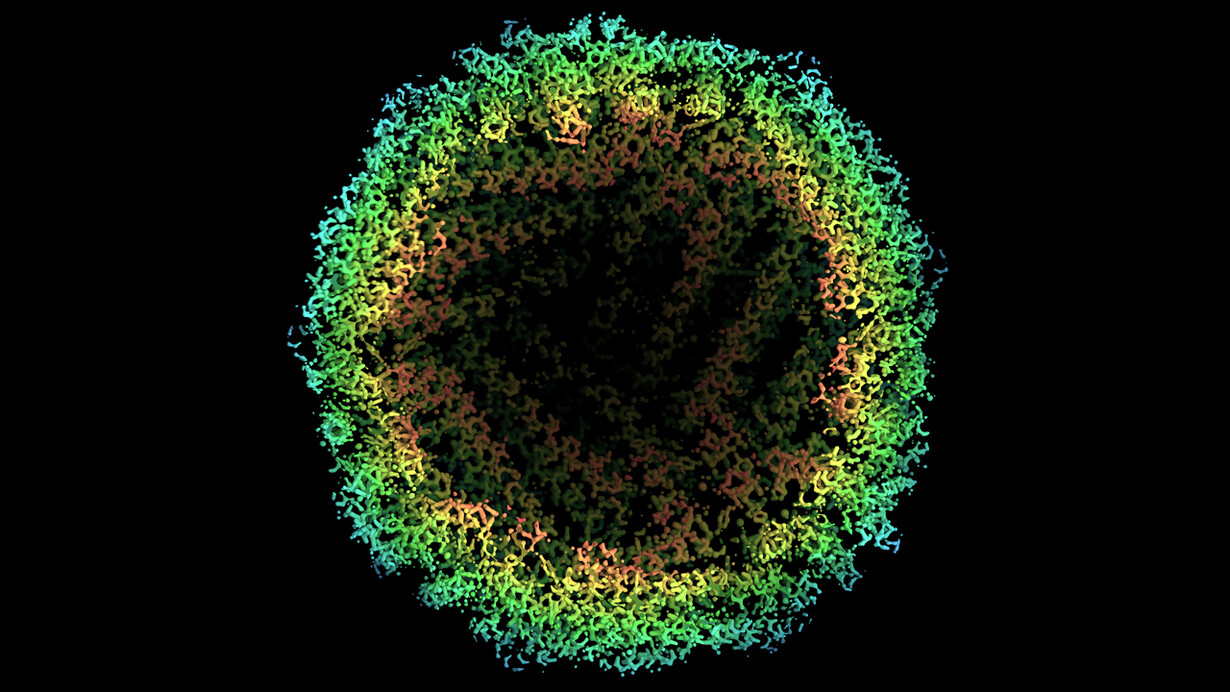 La microscopia crioelettronica rivela i dettagli atomici dell'apoferritina, un complesso proteico cavo a forma sferica che immagazzina il ferro