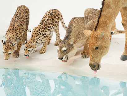 Water. Courtesy of Queensland Art Gallery