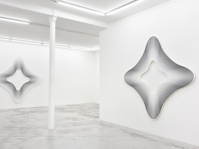 Philippe Decrauzat. Courtesy of Praz-Delavallade