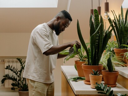 A person surrounded by thriving indoor plants, reflecting the beauty of bringing nature into everyday living spaces