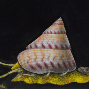 Collectors. Courtesy of RAMM