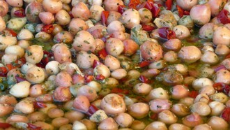 I lampascioni sono piccoli bulbi selvatici dal sapore amarognolo, molto usati nella cucina tradizionale pugliese e lucana. Una delle preparazioni più diffuse è quella dei lampascioni è lessati e conditi con olio extravergine d’oliva, aceto, aglio e prezzemolo