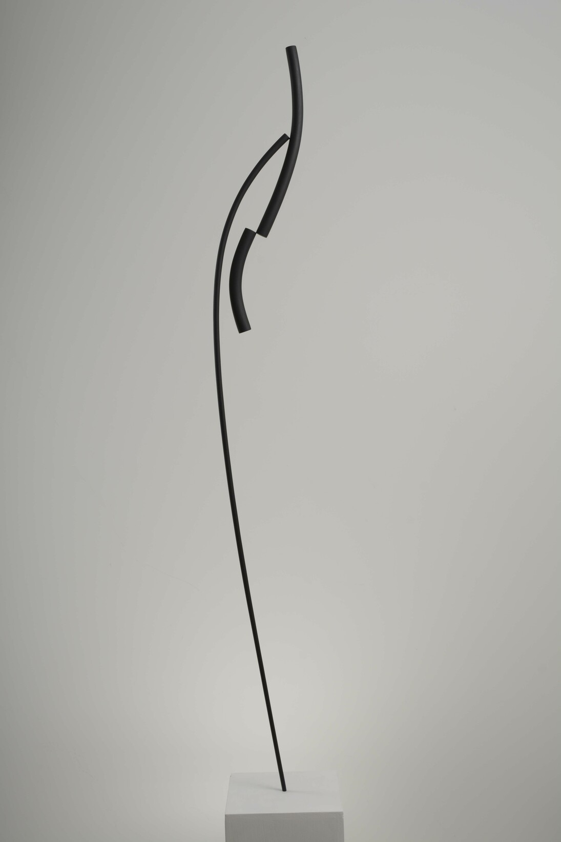 Almagno, Scettro, 2015, wood, 115x15x3 cm