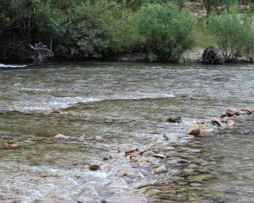 Ecosystems. Courtesy of California Science Center