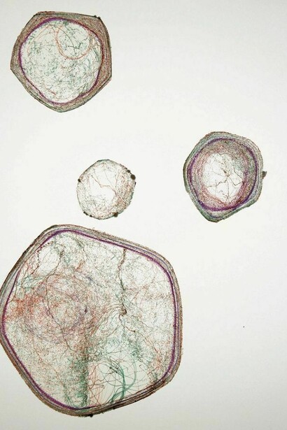 Marcos Lutyens. “Flash - Gathering, dance to solar sounds”