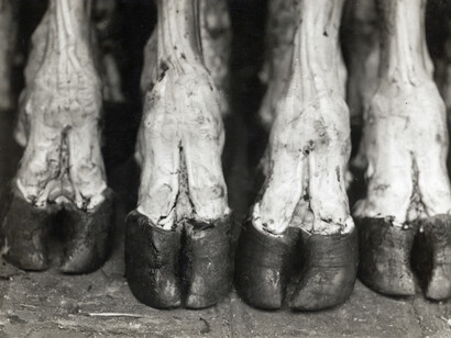 Eli Lotar. Courtesy of Jeu de Paume