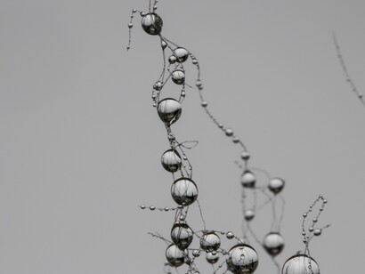 Estructuras simples y complejas