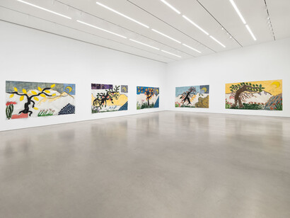 Isabella Ducrot, The visited land, exhibition view. Courtesy of Petzel Gallery