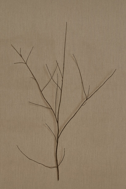 Helene Appel, Branch, 2025. Courtesy of P420