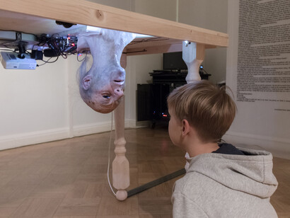 Donato Piccolo, Donato Piccolo, Thinking the unthinkable, installation View in Hermitage Museum, St Petersburgm Russia 2018 photo courtesy Cyland_ Антон Хлабов