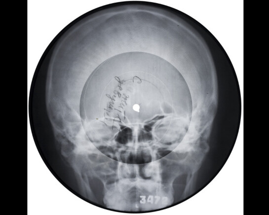 Bone Music. Courtesy of Garage Museum of Contemporary Art