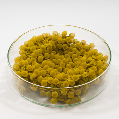 Matters, rethinking materials. Courtesy of Design Museum