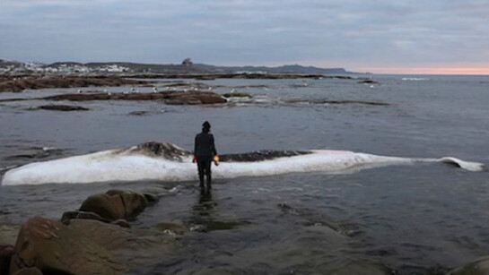 Patty Chang. Courtesy of Queens Museum