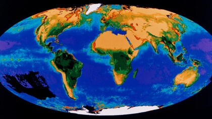 Composite Image of the Global Biosphere